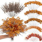 lovemoon 260 Pcs Fall Mixed Greenery Artificial Eucalyptus Stems, Orange by Lovemoon