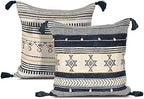 Ridhi Hand Block Print Cotton Throw Pillow Cover, Navy & Gold 18x18 Set 2 by Ridhi
