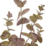 Vickerman 34" Artificial Burgundy Spiral Eucalyptus Spray. 3 Pieces in a Bag. - Image 2