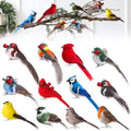 36 Pcs Clip on Bird Ornaments for Christmas Tree, 12 Style by Unknown