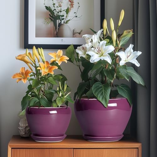 10+8+6 Inch Ceramic Plant Pots, Ceramic Planter for Indoor Outdoor Plants, Round Planter with Drainage Holes and Saucers, Indoor Flower Pots, Room Decor, Housewarming Gift, Set of 3, Purple - Image 4