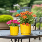 Eightpot 6 Inch Pots for Plants, Ceramic Pots for Plants with Drainage Holes and Tray, Round Planter for Indoor Outdoor, Modern Plant Pot, Decorative Flower Pot, Table Decor, Teacher Gift, Yellow - Image 5