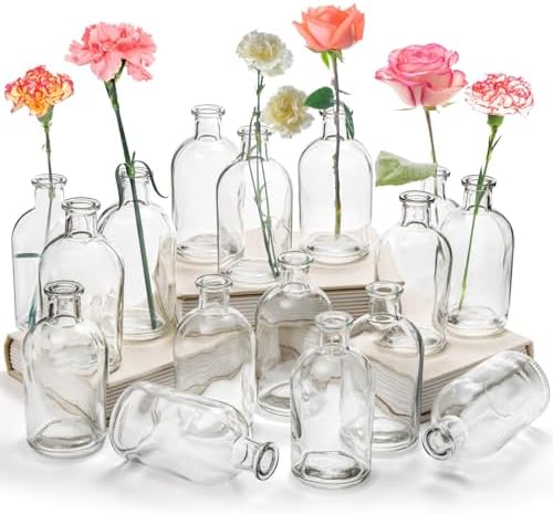 YOUEON 16 Pack Clear Glass Bud Vases, Small Bud Vases in Bulk, Glass Flower Vases for Centerpieces, Vintage Decorative Bottle Vases for Flowers, Home Decor, Wedding Reception, Office by YOUEON