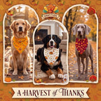 Abbylike 50 Pcs Thanksgiving Dog Bandanas Bulk, Pumpkin Turkey Leaves - Image 4