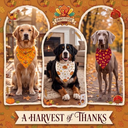 Abbylike 50 Pcs Thanksgiving Dog Bandanas Bulk, Pumpkin Turkey Leaves - Image 4