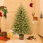 BLEUM CADE 4FT Small Norfolk Pine Tree with Lights, Christmas Tree - Image 3