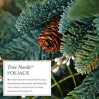 Balsam Hill Mountain Meadow Christmas Wreath - Premium True Needle Front Door Wreath with Natural Elements & Battery-Operated LED Clear Lights Available in 26" and 32" Sizes, 32" - Image 5