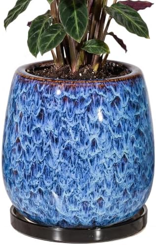 10.3 Inch Ceramic Glaze Plant Pot with Saucer, Flower Pots with Drainage Hole Mesh Net (Blue) by Unknown