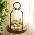 7.5" High Versatile Rustic Metal Candle Holder with Handmade Sturdy Glass Dome and Brown Wooden Base for Pillar Candle & Plants, Industrial, Farmhouse, Shabby Chic, Display Cloche Bell Jars - Image 5