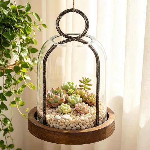 7.5" High Versatile Rustic Metal Candle Holder with Handmade Sturdy Glass Dome and Brown Wooden Base for Pillar Candle & Plants, Industrial, Farmhouse, Shabby Chic, Display Cloche Bell Jars - Image 5