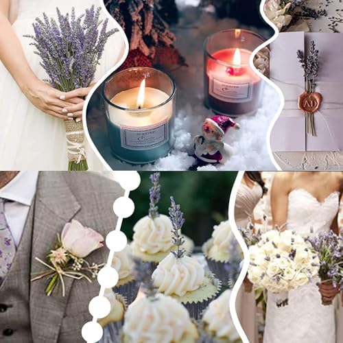 TOMOON 6 Packs Natural Dried Lavender Flowers Bouquet with Stems - Image 5
