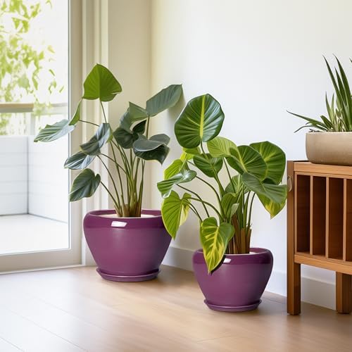 10+8+6 Inch Ceramic Plant Pots, Ceramic Planter for Indoor Outdoor Plants, Round Planter with Drainage Holes and Saucers, Indoor Flower Pots, Room Decor, Housewarming Gift, Set of 3, Purple - Image 5