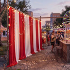 HunnmingRe 12 Pcs Circus Carnival Party Backdrop Decorations 2.5 x 10 ft - Image 5