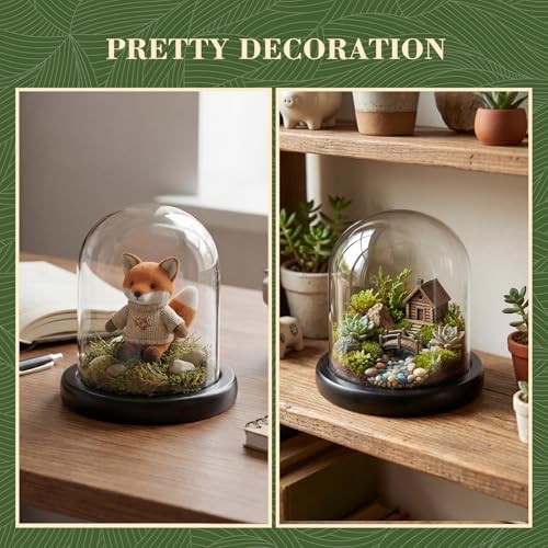 Suclain 4Pc Glass Dome Cloche with Wood Base, Black, 4.3" X 3.8" - Image 4