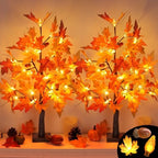 2 Pack 24 Inch Prelit Fall Maple Tree Fall Thanksgiving Decorations with 48 LEDs Battery Operated Timer Lighted Acorn Maple Artificial Tabletop Light Up Tree for Home Indoor Thanksgiving Table Decor by Grastfu