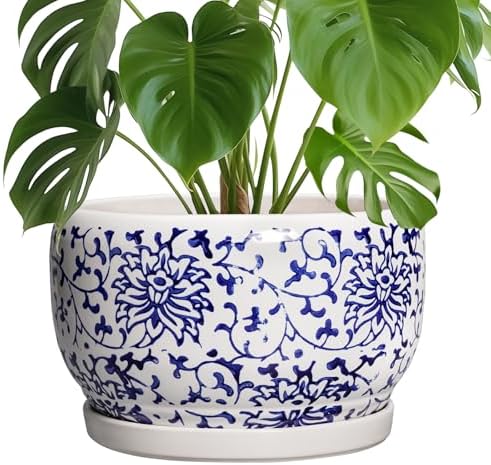 SQOWL Ceramic Pots for Plants - 10 Inch Ceramic Flower Pots with Drainage Hole and Saucer, Round Large Planter Indoor, Decorative Porcelain Planter Outdoor, Home Decor, Birthday Gifts, Blue and White by SQOWL
