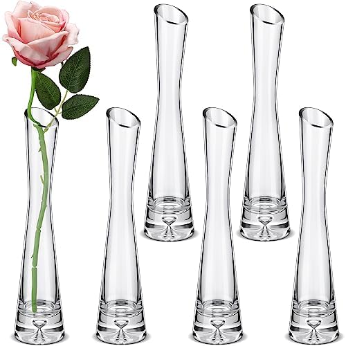 Lallisa 6 Pcs Glass Bud Vases for Centerpieces Maria Modern Clear Small Skinny Decorative Single Flower Bud Vase for Wedding Party Event Home Office Decoration(9.84 Inch,Transparent Color) by Lallisa