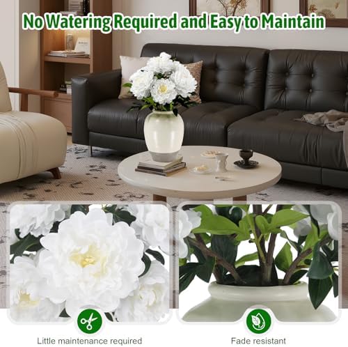 Fake Peony Plant 2FT Tall, Realistic Touch Leaves, Potted Peony Artificial Plants Indoor for Home Decor Small Office Home Living Room-White - Image 4