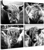 DJSYLIFE Highland Cow Canvas Wall Art, Farmhouse Decor 12"x12" by DJSYLIFE