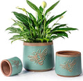 Terracotta Pots, 8+6+4 Inch Plant Pots, 3 Pcs with Drainage Holes by YBXYIBOXUAN