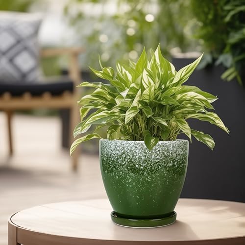 Ceraimc Plant Pot - 6.3 Inch Planter with Drainage and Plant Tray, Round Succulent Planters, Decorative Flower Pot for Indoor, Room Office Patio House Decor, Gifts for Women Men, Green - Image 4