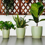 Ceramic Planter - 10 Inch Plant Pot for Indoor Outdoor with Drainage Hole and Plant Tray, Modern Round Home Office Patio Room Decor, House Warming Gifts, Green - Image 7