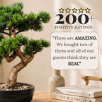 Artificial Bonsai Tree 16" Tall with Realistic Wood and Ceramic Pot, Fake Plants for Home, Bedroom and Office Desk, Japanese Decor - Image 5