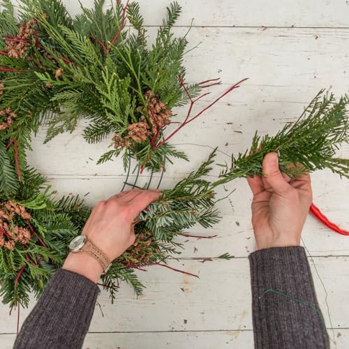 14 Inch Christmas Green Wire Wreath Frame,10 Pack Metal Front Door Wreath Round Form Iron Ring for Christmas, New Year Decors, Crafts, DIY, Holidays, Events - Image 4