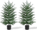 Grooy 2 Pack 3FT Artificial Norfolk Pine Tree with Pot by FEELTHENEWWORLD