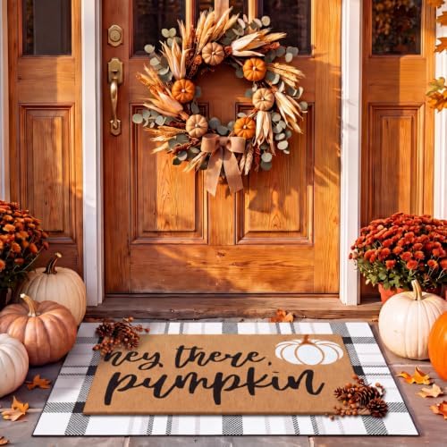 Drydiet 2 Pcs Fall Layered Doormats Neutral Fall Pumpkin Coir Welcome Mat - Image 2