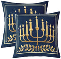 Erosebridal Hanukkah Throw Pillow Covers 24X24 Set of 2 for Couch Bed Sofa Decor, Festival Holiday Theme Pillow Covers, Spiritual Gifts for Mom Sister Friends Decorative Cushion Cases by Erosebridal