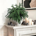 Rowfad 24 Pcs Artificial Norfolk Pine Branches Faux Christmas Stems (24) - Image 2