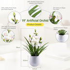 Fake Orchid Plant 19" Tall, Realistic Touch Leaves, Potted Cymbidium Artificial Plants Indoor for Home Decor Small Office Home Living Room-White - Image 2
