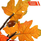 24 Inch Fall Lighted Maple Tree, 2FT Fall Tree with 36 LEDs, 6 Acorns, Timer Battery Operated, Thanksgiving Decorations Table Lights Tree for Autumn Wedding Party Gift Harvest Home - Image 5