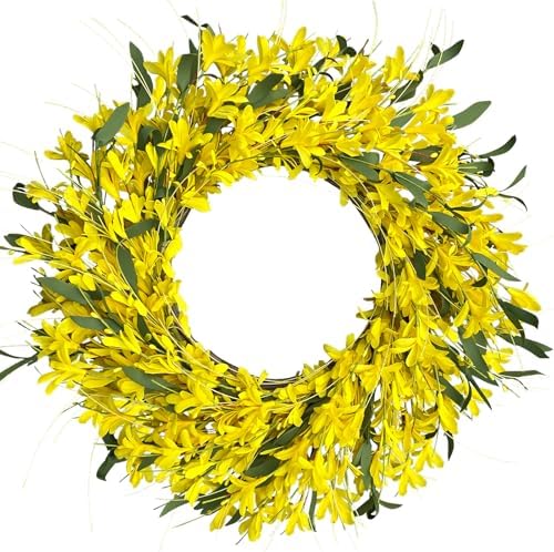 LOKEISNA Yellow forsythia Door Wreath, 24 Inch Summer Wreaths for Front Door Outside, Hand Made Artificial Forsythia Flower Wreath for Front Door Window Wall Farmhouse Home Gift by LOKEISNA