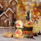 Remerry 6 Pcs Plastic Cloche Dome Display with Base and LED Light - Image 2