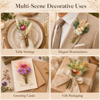 12/24PCS Handmade Dried Flower Bouquet with Stems Natural Dried Wildflowers 7.5” Mini Dry Flowers for Vase Farmhouse Decor, Wedding Styling, Photography Props, Gift DIY(24pcs, Gerbera Daisy) - Image 6