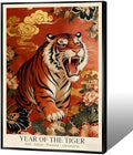 Chinese Lunar Year of the Tiger Art Print – Bold Valiant Powerful Adventurous Zodiac Wall Decor with Red Peony & Gold Cloud Pattern for Home Office and Apartment 8X12 in Black Framed by Unknown