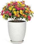 9.5 Inch Flower Pots for Indoor Plants,Ceramic Planter with Saucer Drainage Leak-Proof Mesh Gardening Gloves (Water-Ripple White) by Unknown