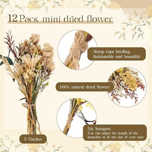 Layhit 12 Pcs Mini Dried Flower Bouquet Boho for Wedding,Bright - Image 2