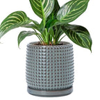 D'vine Dev Beaded Ceramic Pot with Saucer, 6 in, Graphite Blue, 27-C-X-9 by DvineDevPlanterPotsandStand