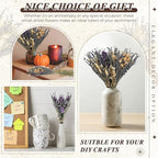 Layhit 4 Pack Large Size Boho Dried Flowers 15-17 Inch, Lavender - Image 3