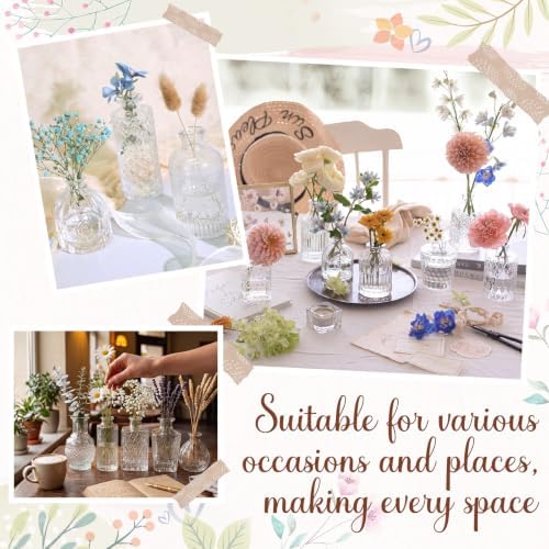 Dandat 24 Pieces Small Clear Vase Bulk 12 Style Decorative Bud Vase - Image 6