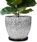 10 Inch Plant Pot - Ceramic Planter for Indoor Outdoor, Round Large Plant Pots, Modern Planter with Drainage Hole and Tray, Home Room Office Garden Decor, Gifts for Women Men, White-Black by EPFamily