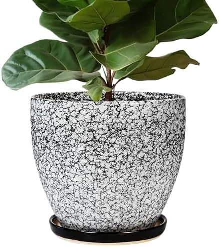 10 Inch Plant Pot - Ceramic Planter for Indoor Outdoor, Round Large Plant Pots, Modern Planter with Drainage Hole and Tray, Home Room Office Garden Decor, Gifts for Women Men, White-Black by EPFamily