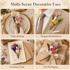 12/24PCS Handmade Dried Flower Bouquet with Stems Natural Dried Wildflowers 7.5 Inch Mini Dry Flowers for Vase Farmhouse Decor, Wedding Styling, Photography Props, Gift DIY(24pcs, Colorful) - Image 6