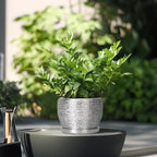 SQOWL Ceramic Plant Pots - 6 Inch Planter for Indoor Outdoor Plants, Modern Round Flower Pots with Drainage Hole and Saucer, Decorative Small Planter, Office Decor, Gifts for Women Men, Silver - Image 4