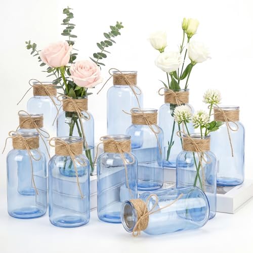 Mason Jars for Centerpiece Glass Flower Bud Vase Blue Vases, 12 Pc by Unknown
