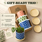 Original Earthlings Ceramic Plant Pots, Indoor Planters - Set of 3 - Image 7