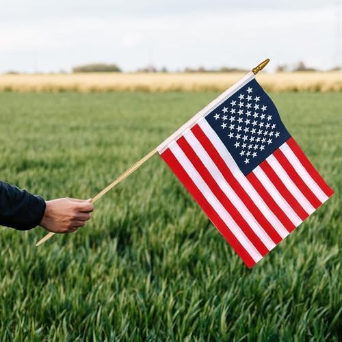 24 Pack 12x18 Inch American Flags For outside, US Flags with Kid-Safe Spear Top, Pluggable ground Multi-Purpose wood Flagpole , Patriotic Decorations, Memorial Day, 4th of July decorations,Independence Day Patriotic Holiday Yard Garden Flags - Image 4